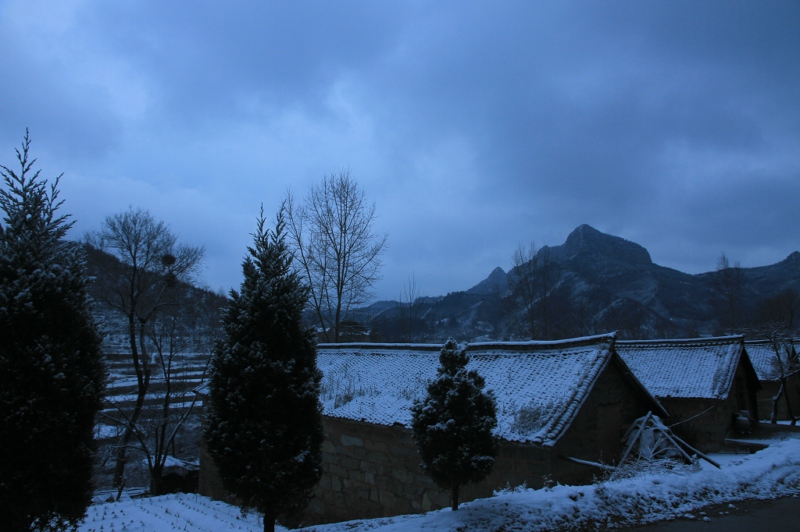 img_7296.jpg