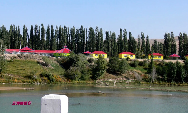 p12902651.jpg