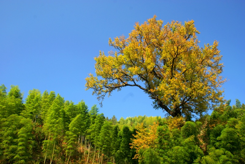 dsc_0193.jpg