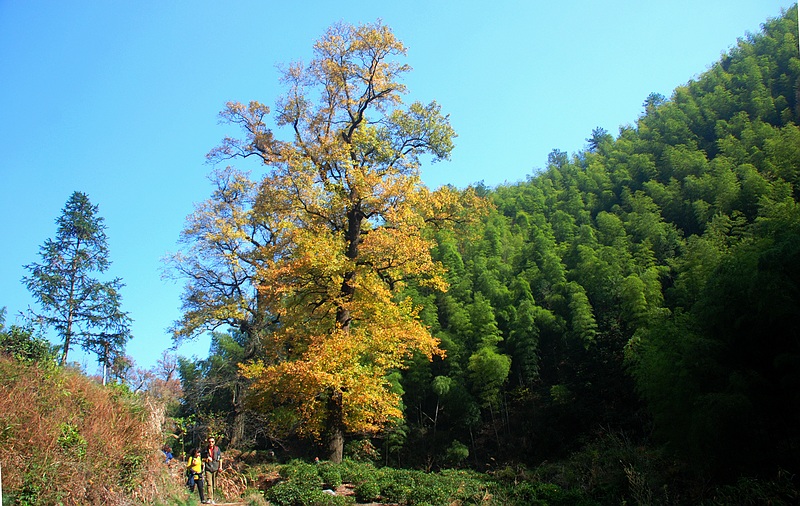 dsc_0274.jpg