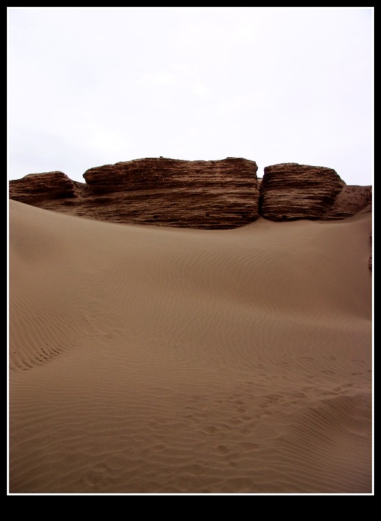 dsc00159_conew1.jpg