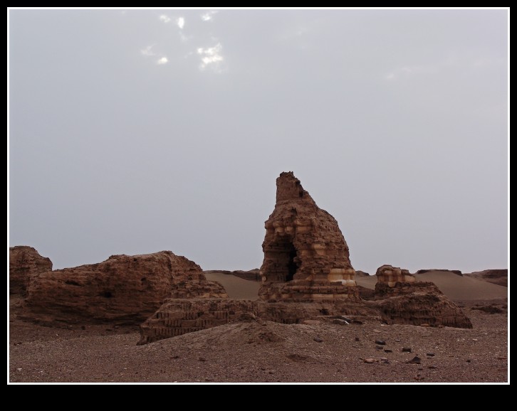 dsc00221_conew1.jpg