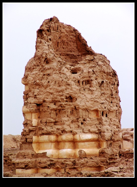 dsc00224_conew1.jpg