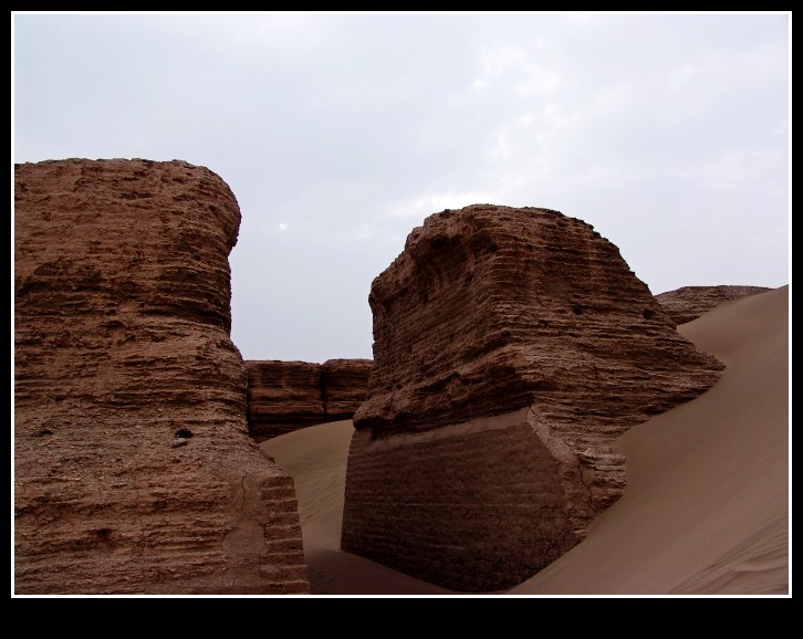 dsc00229_conew1.jpg