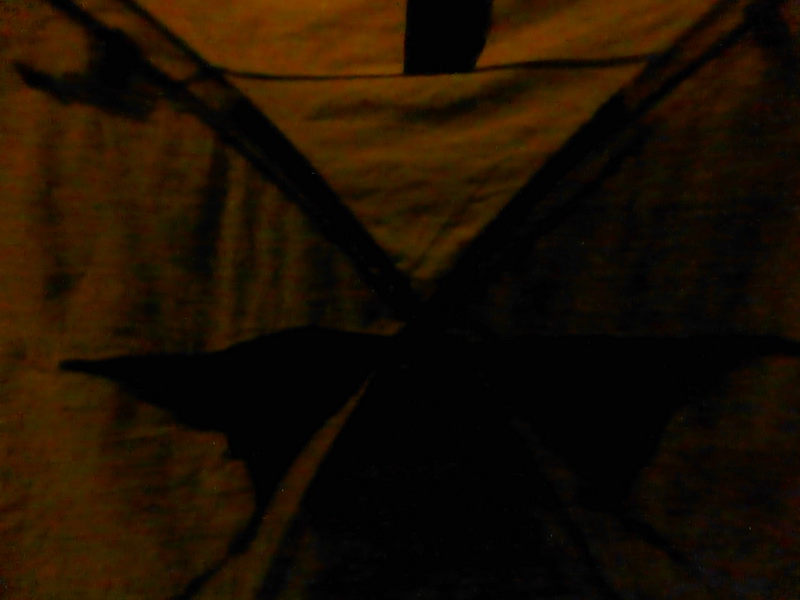 p1140221.jpg