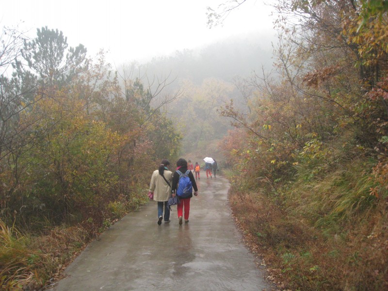 conew_img_4489.jpg
