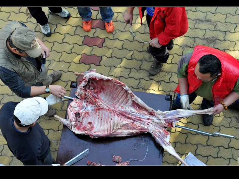 qqͼƬ20131118112746.jpg