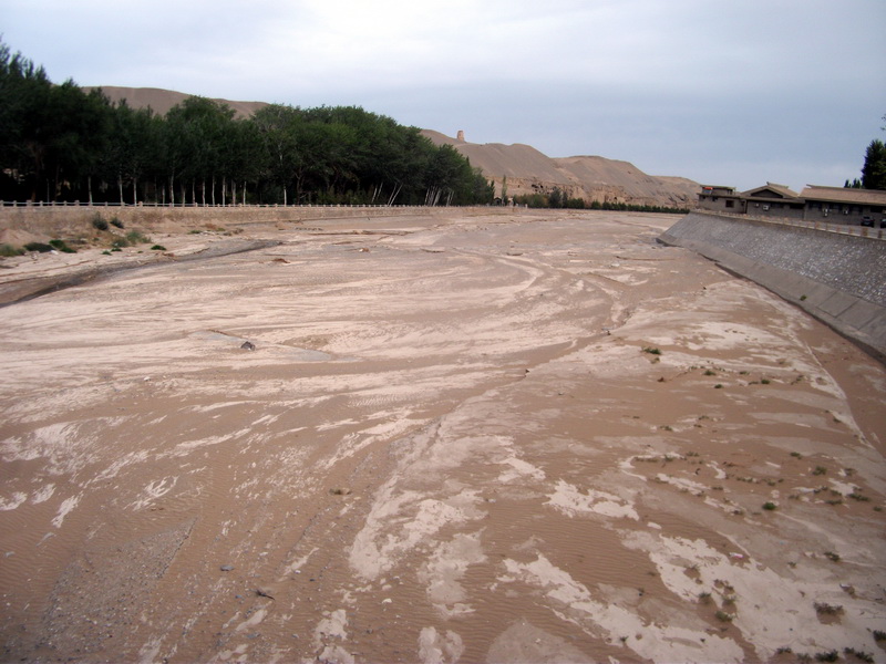 dscf0425.jpg