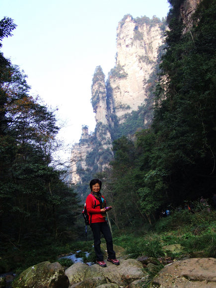 dscf8637.jpg