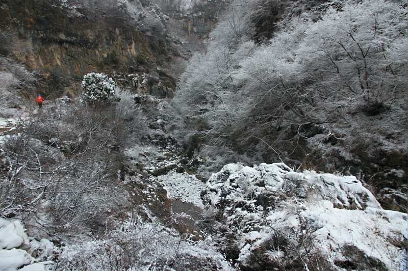 img_7367.jpg