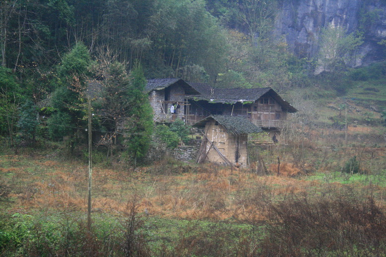 177.jpg