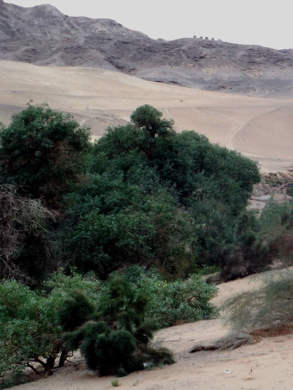 dscf0458.jpg