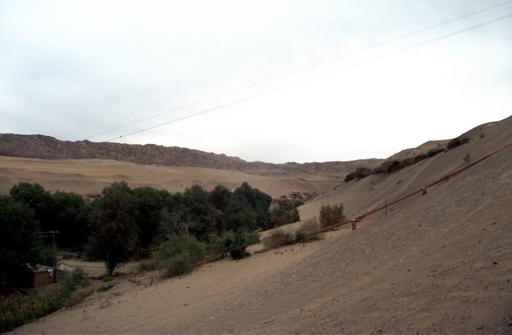 dscf0462.jpg