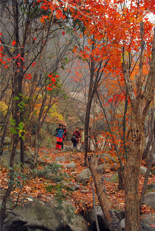 dsc_0199__.jpg