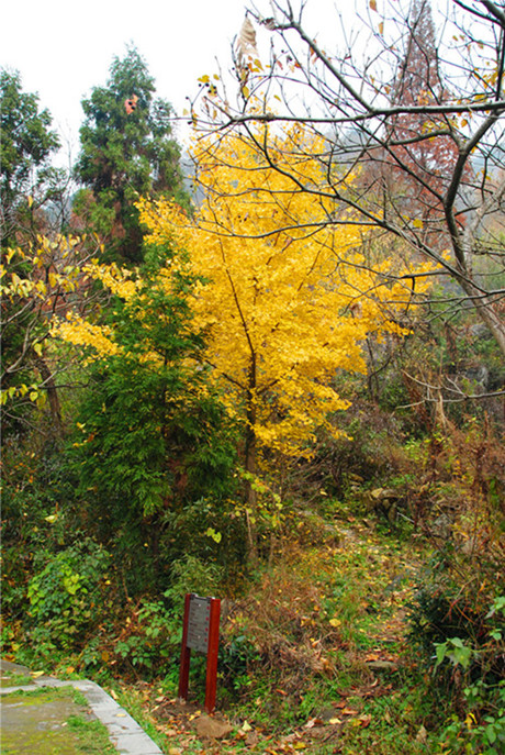 dsc_0245___.jpg