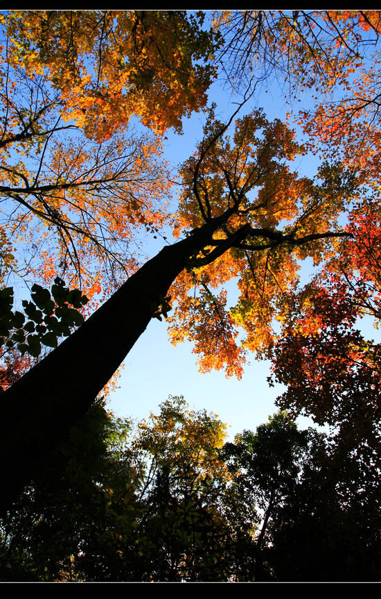 _mg_8104.jpg