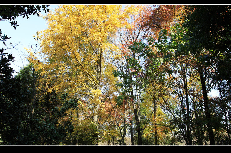_mg_8098.jpg