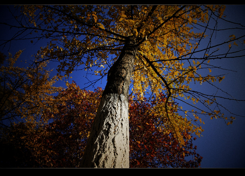_mg_8077.jpg