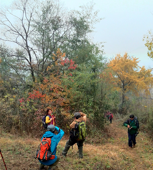 img_20131123_101037.jpg