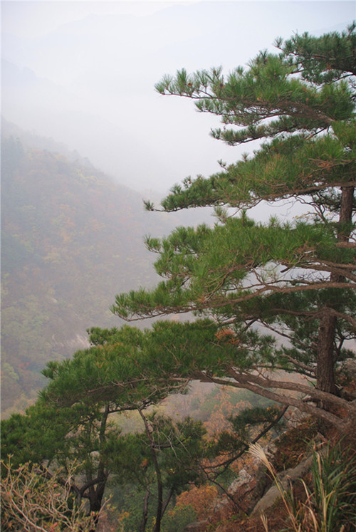 dsc_0319__.jpg
