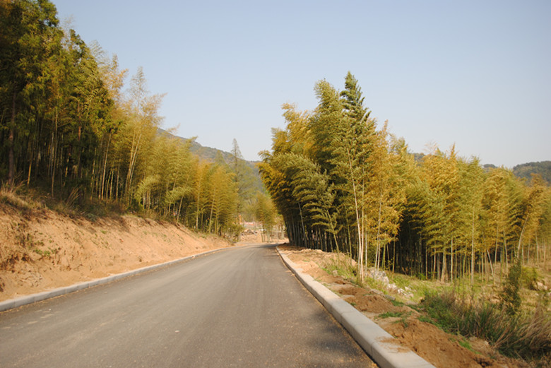 dsc_0218__.jpg