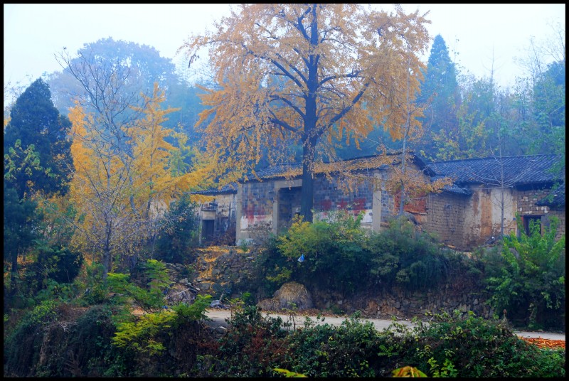 conew_ڷ 164_conew1.jpg