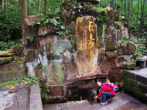 dscf8640.jpg