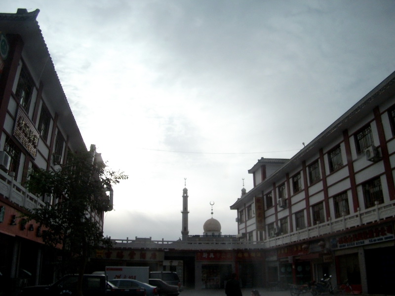 dscf0501.jpg