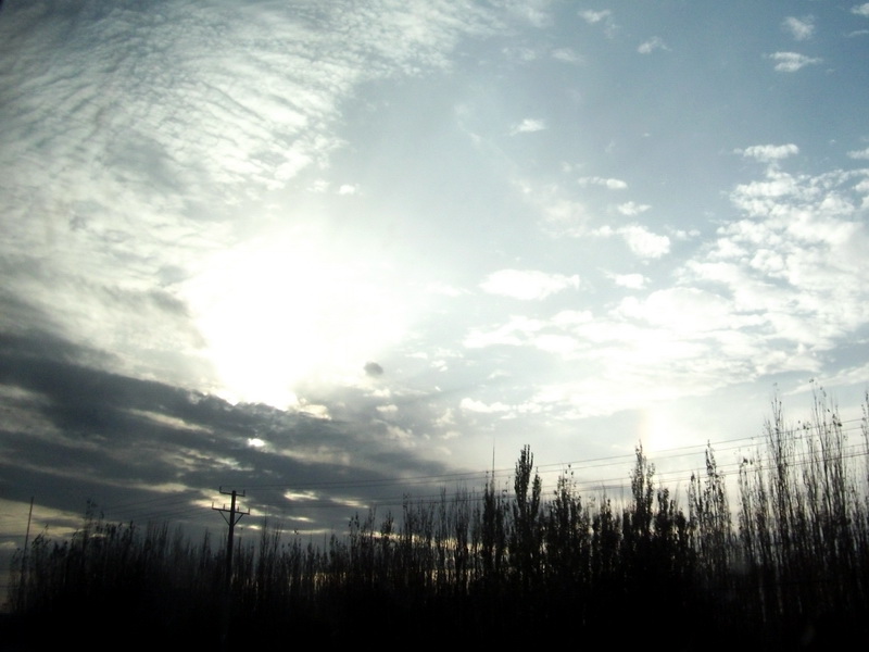 dscf0505.jpg