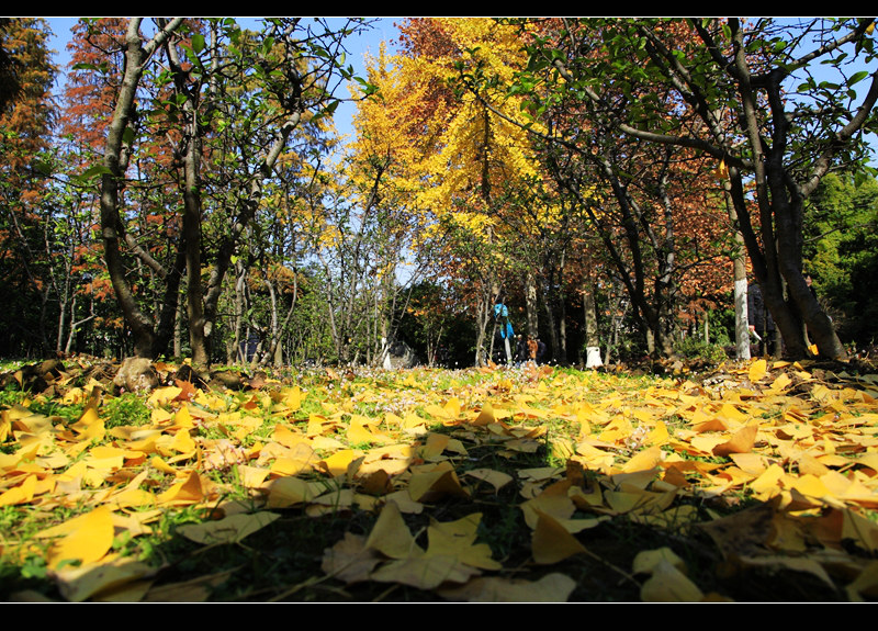 _mg_8220.jpg