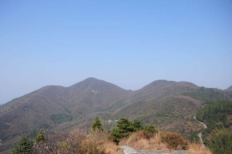 129.jpg