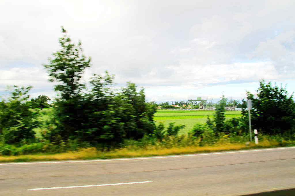 img_1249_.jpg