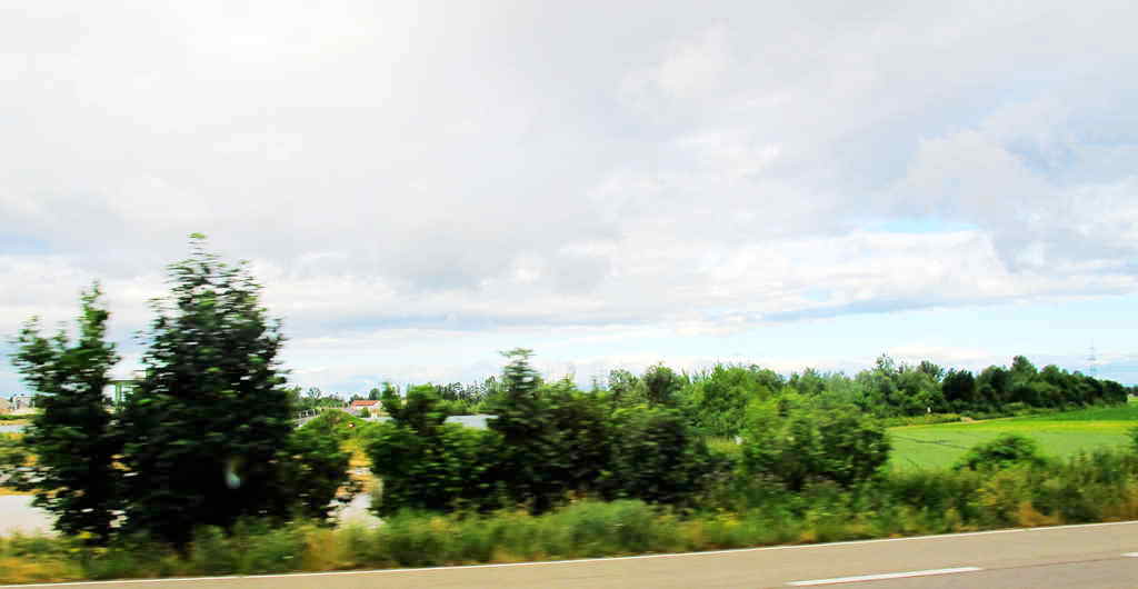 img_1250_.jpg