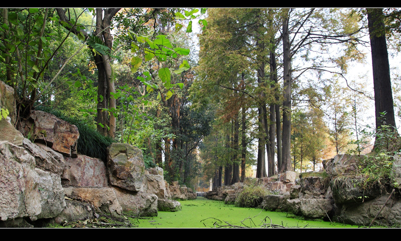 _mg_7604.jpg