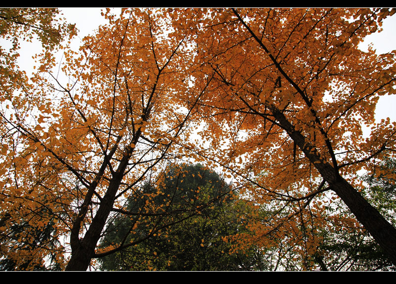 _mg_7707.jpg