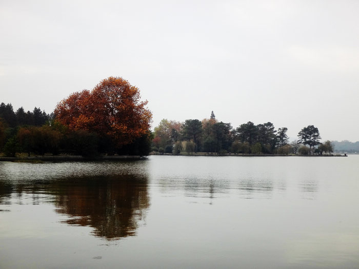 dsc04702.jpg