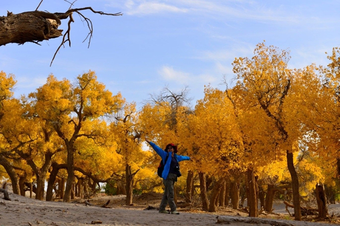 20131031183902.jpg