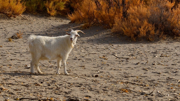 20131031183813.jpg