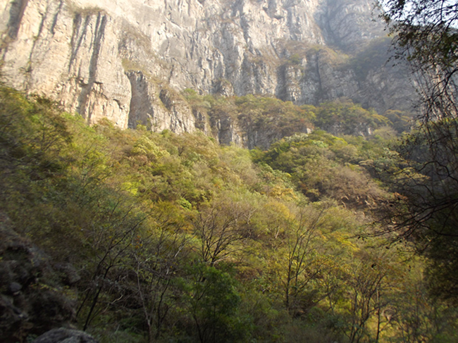 dscf5149_2.jpg