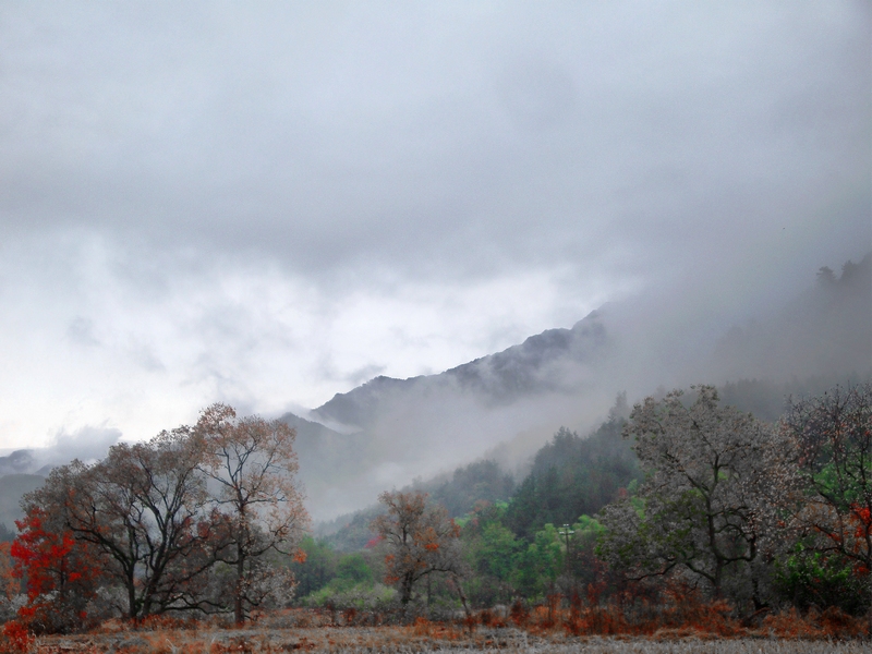dsc02094a.jpg