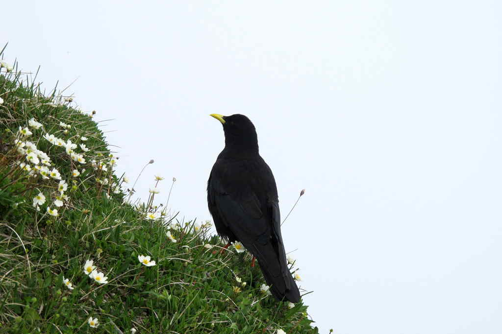 img_9935_.jpg