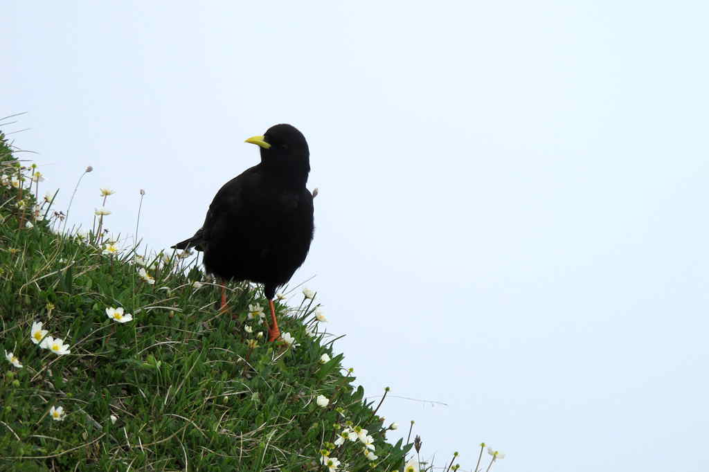 img_9934_.jpg