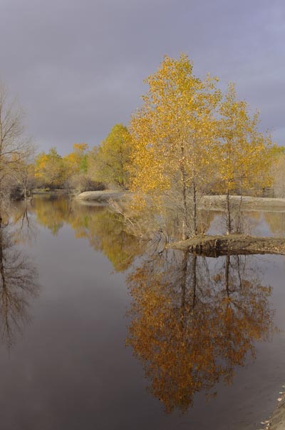 _dsc00006.jpg