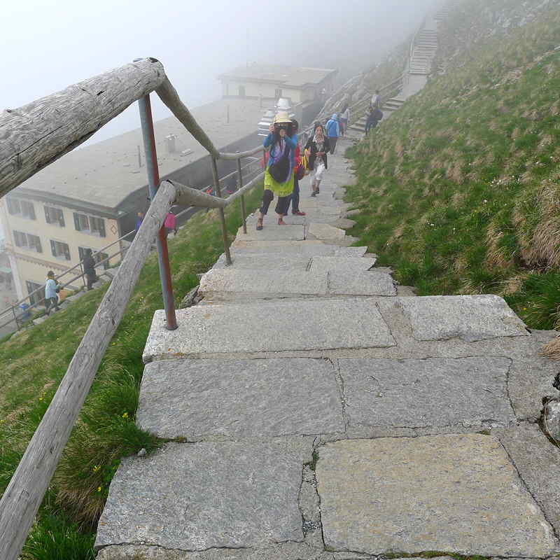 p1020710_.jpg