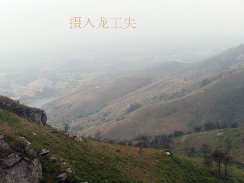 file0983.jpg