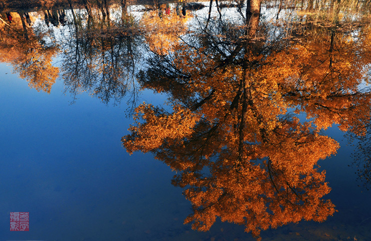 dsc_0882a.jpg