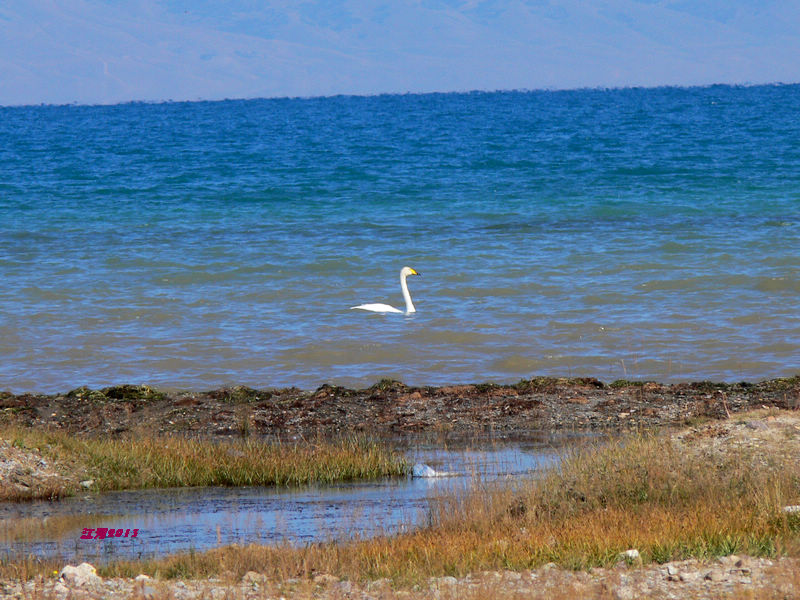 p1280954.jpg