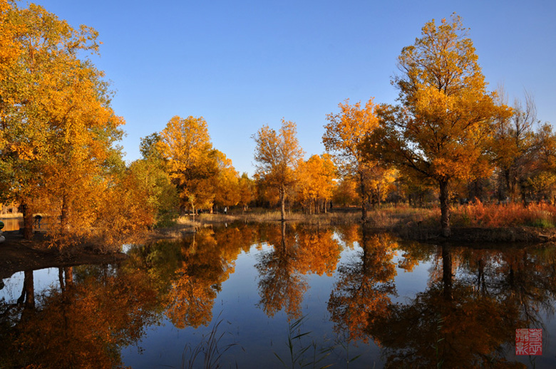 dsc_0911a.jpg