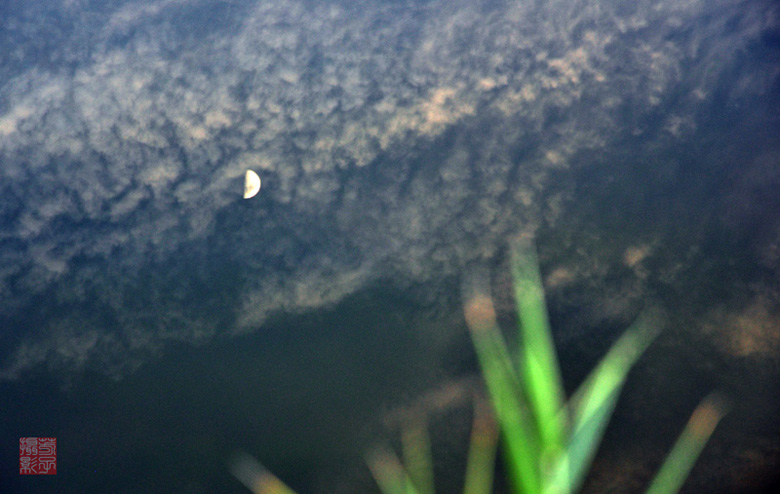 dsc_0997a.jpg