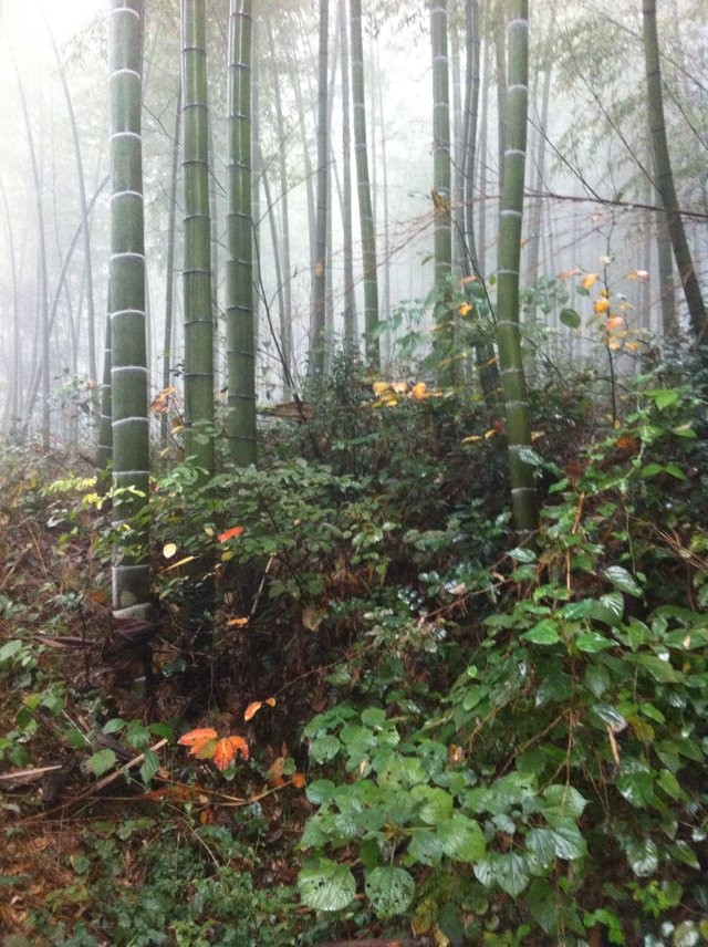 qqͼƬ20131104075530.jpg